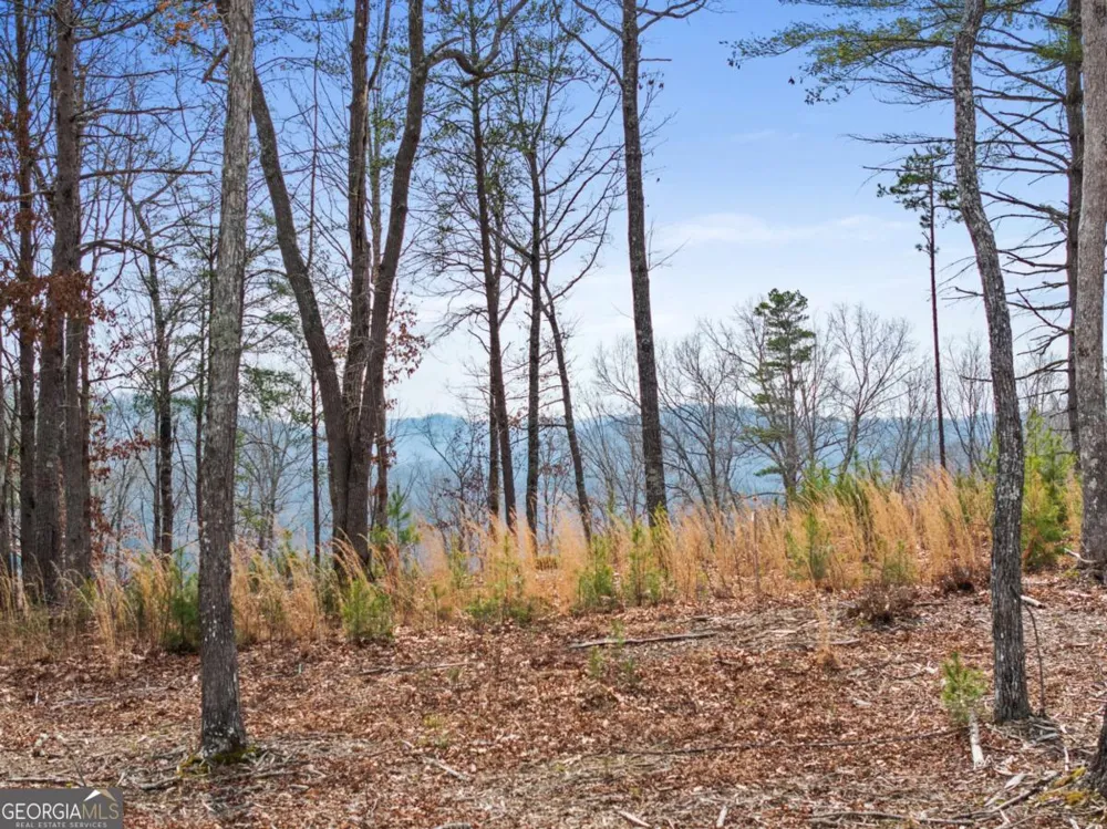 LOT 162 Ridge DR Morganton, GA 30560