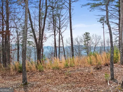 LOT 162 Ridge DR