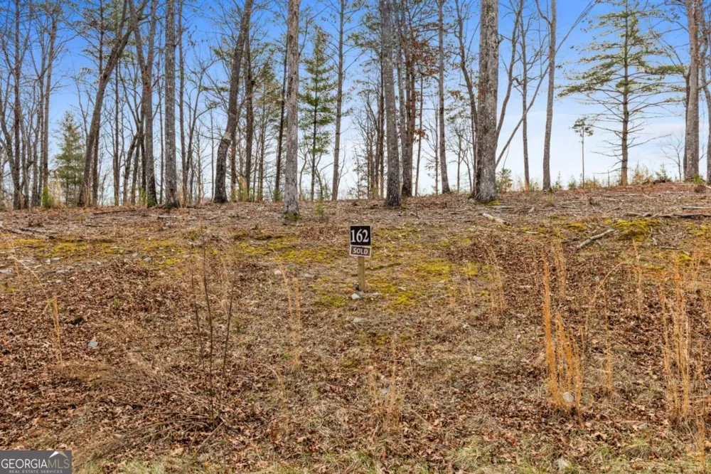 LOT 162 Ridge DR Morganton, GA 30560