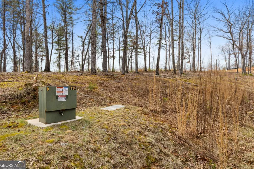 LOT 162 Ridge DR Morganton, GA 30560