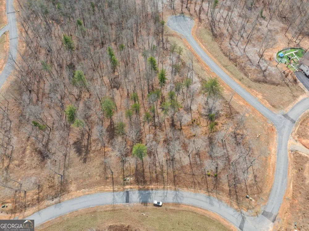 LOT 162 Ridge DR Morganton, GA 30560