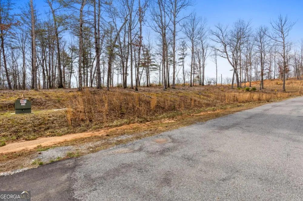 LOT 162 Ridge DR Morganton, GA 30560