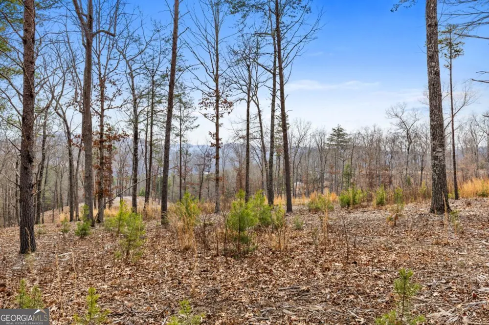 LOT 162 Ridge DR Morganton, GA 30560