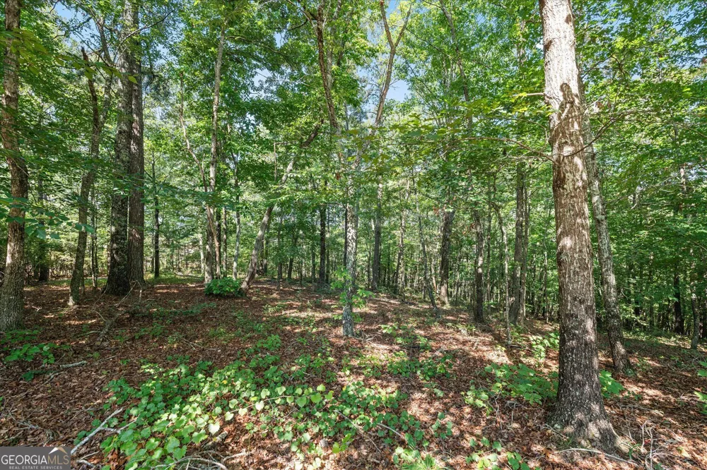 26 County Road 876 Wedowee, AL 36278
