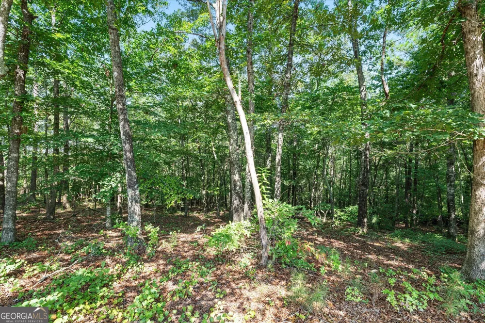 26 County Road 876 Wedowee, AL 36278