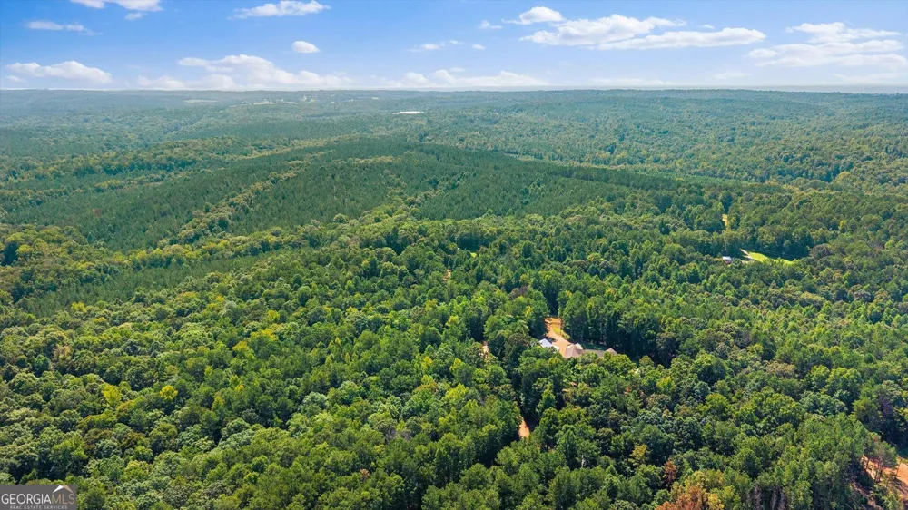 26 County Road 876 Wedowee, AL 36278