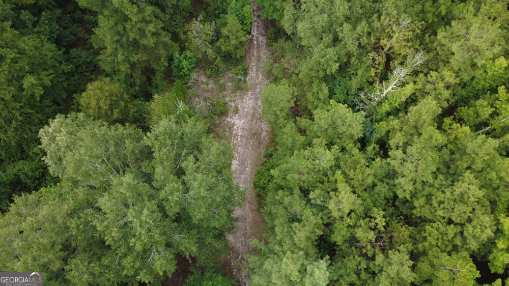 3825 Masseyville RD Macon, GA 31217