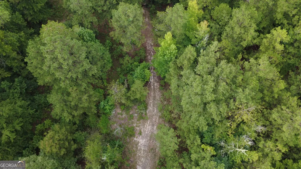 3825 Masseyville RD Macon, GA 31217