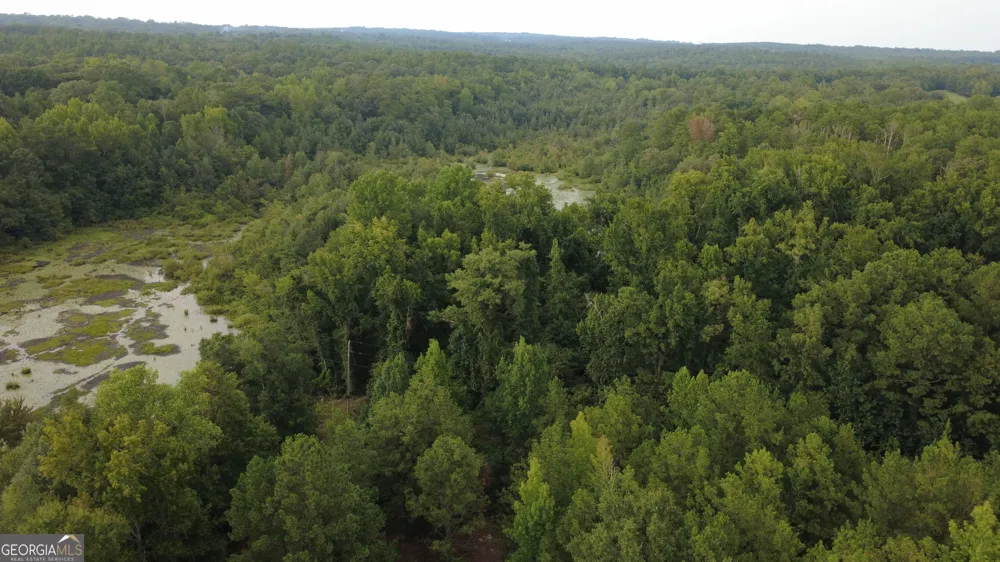 3825 Masseyville RD Macon, GA 31217