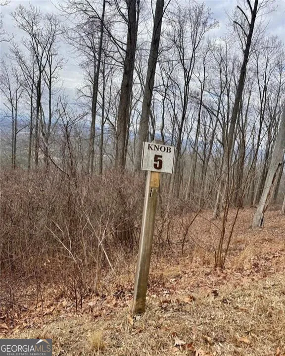 5 Rocky Knob Young Harris, GA 30582