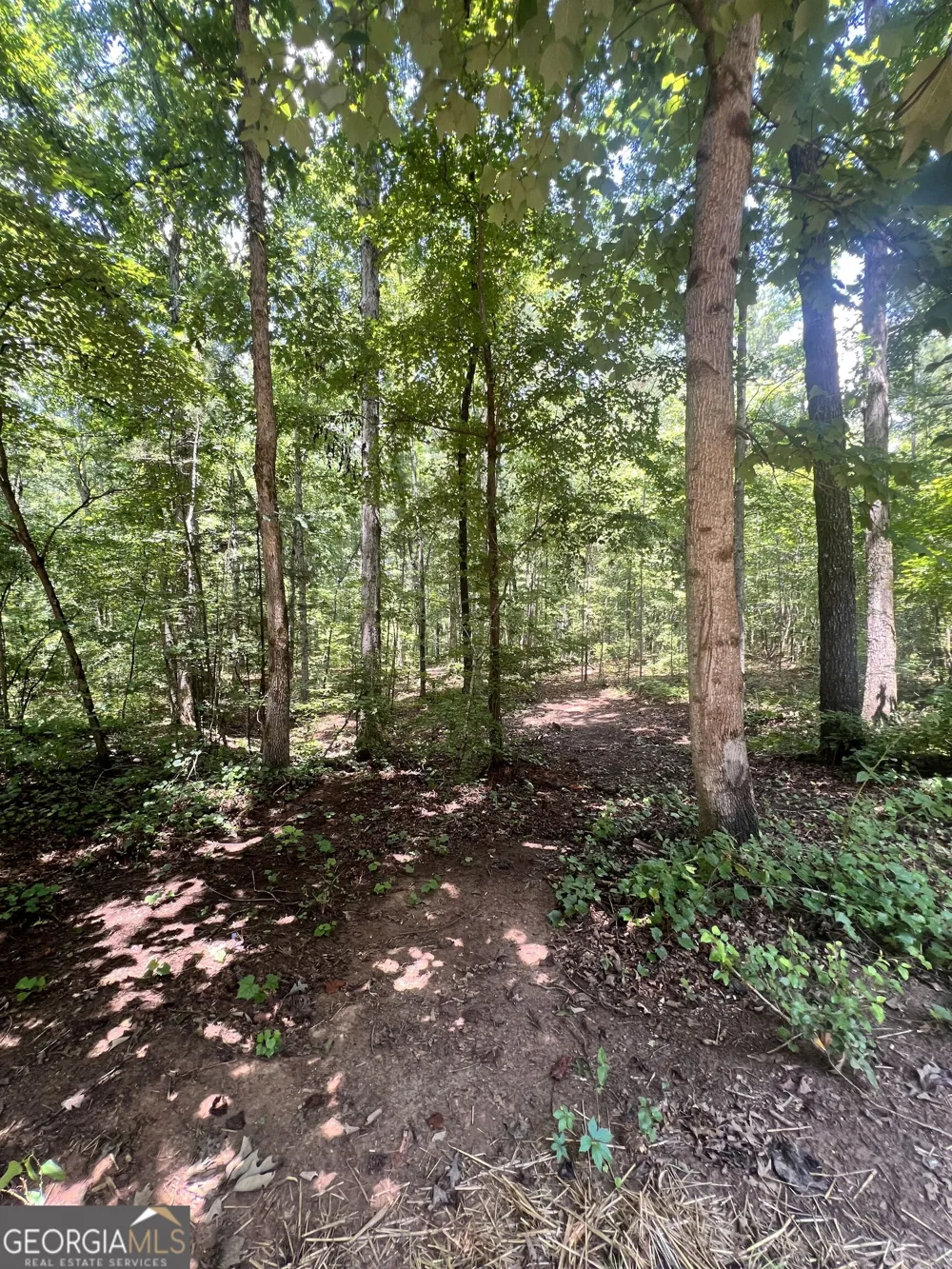260 New Hope DR McDonough, GA 30252
