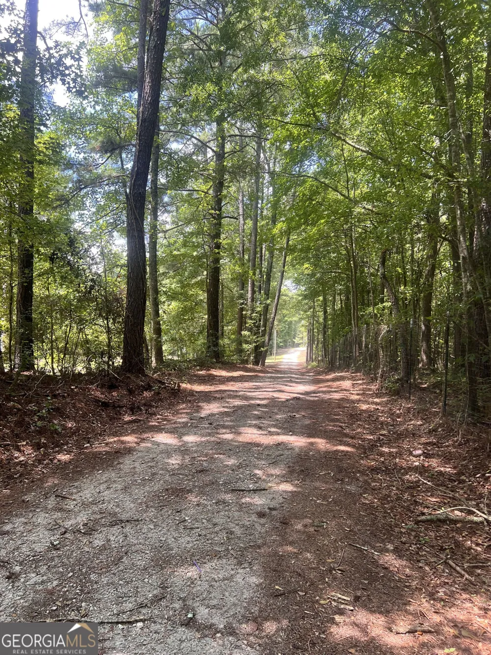 260 New Hope DR McDonough, GA 30252