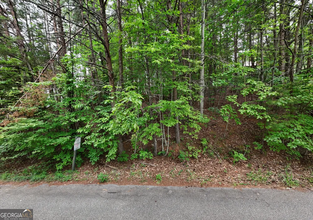 LOT B2 Starlight DR Sautee Nacoochee, GA 30571