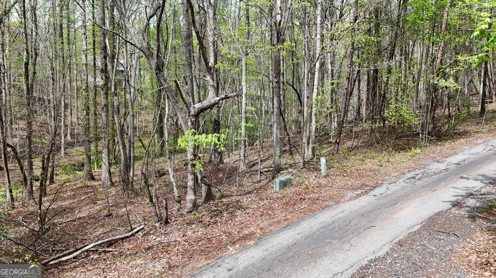 0 Shenandoah DR Cleveland, GA 30528