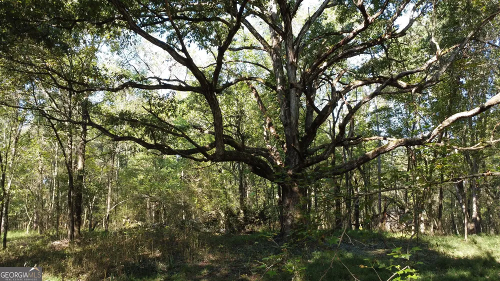 0 Holiness Campground RD Cleveland, GA 30528