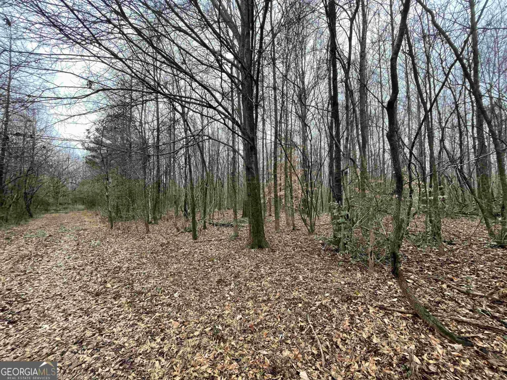 0 Holiness Campground RD Cleveland, GA 30528