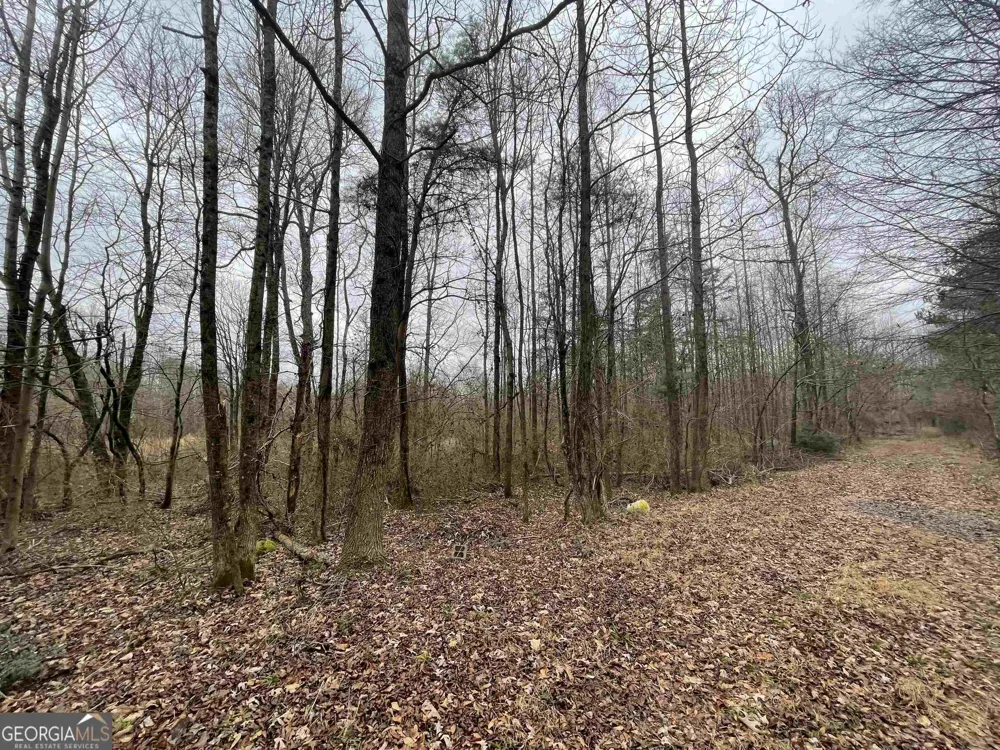 0 Holiness Campground RD Cleveland, GA 30528
