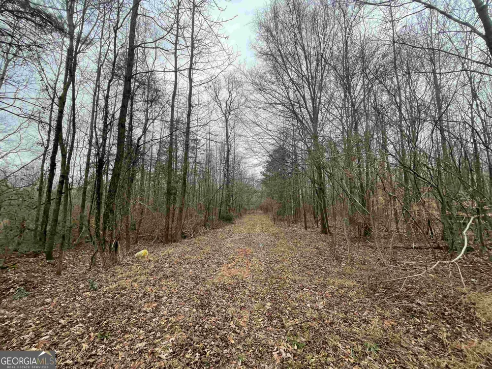 0 Holiness Campground RD Cleveland, GA 30528