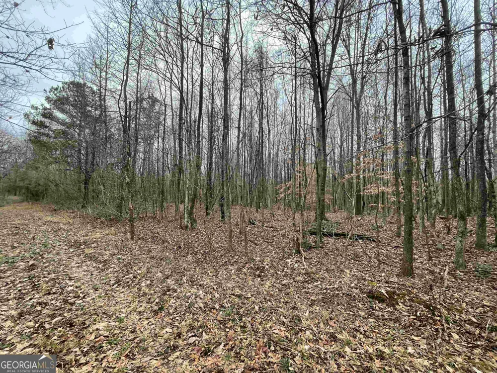 0 Holiness Campground RD Cleveland, GA 30528