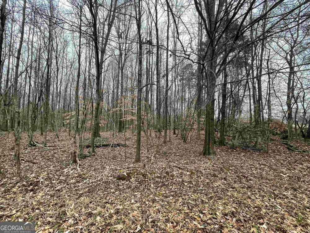 0 Holiness Campground RD Cleveland, GA 30528
