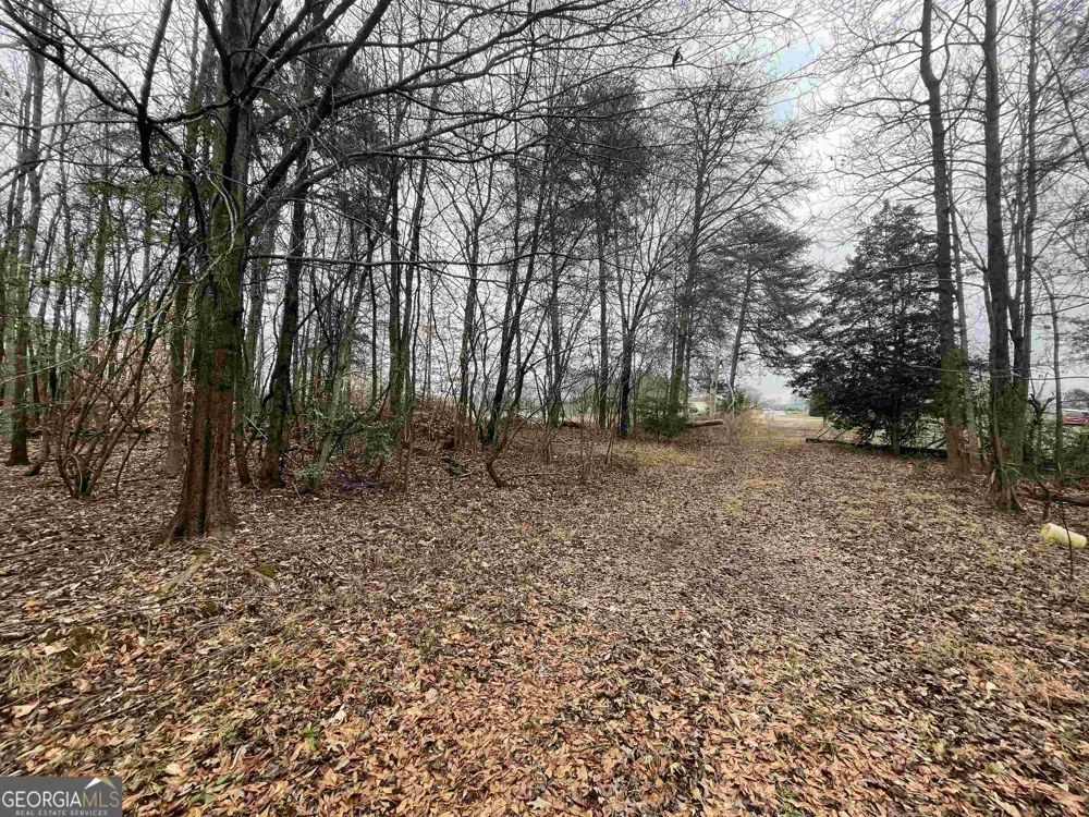 0 Holiness Campground RD Cleveland, GA 30528
