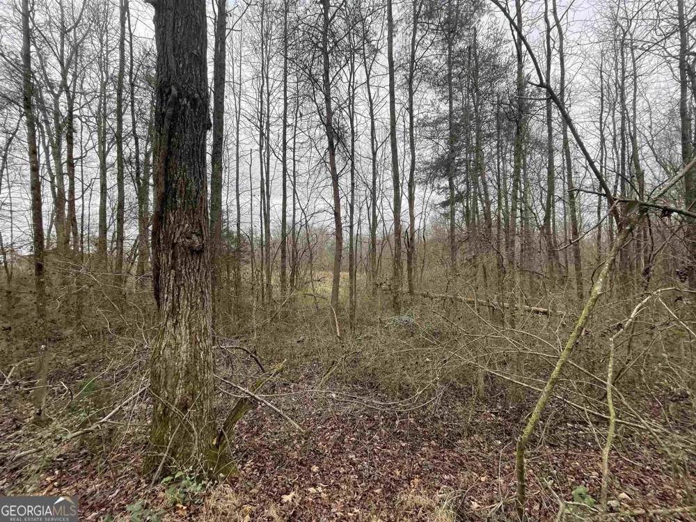 0 Holiness Campground RD Cleveland, GA 30528