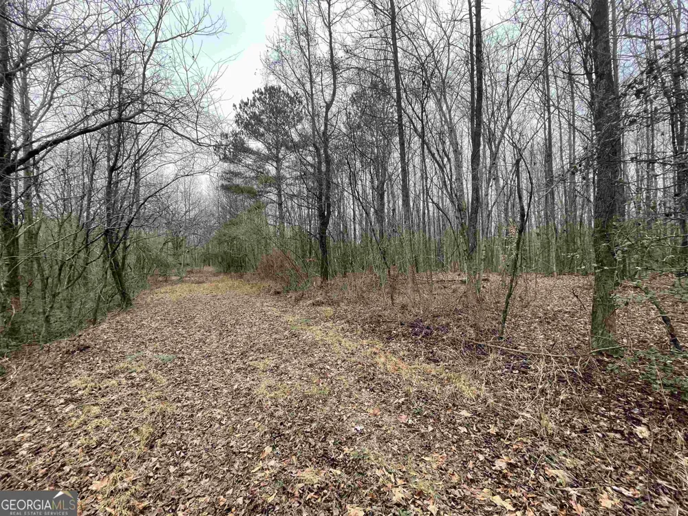 0 Holiness Campground RD Cleveland, GA 30528