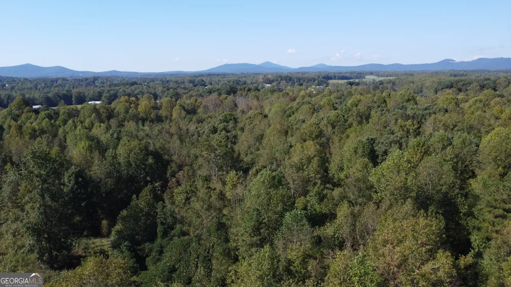 0 Holiness Campground RD Cleveland, GA 30528