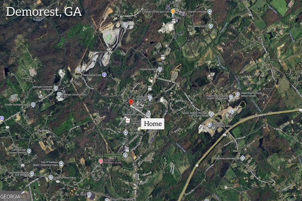 118 Holley ST Demorest, GA 30535