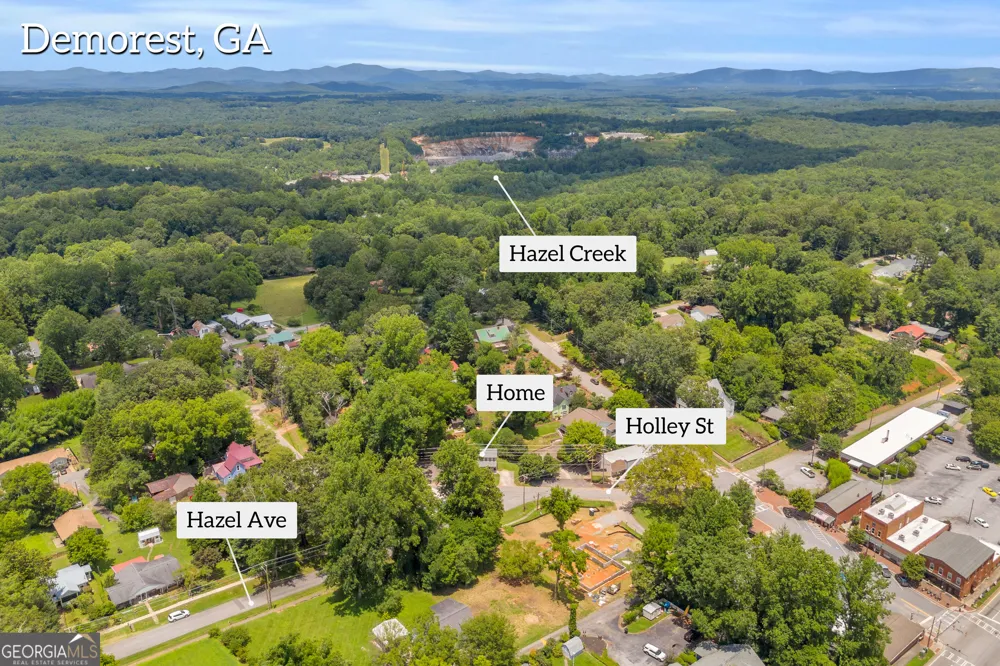 118 Holley ST Demorest, GA 30535