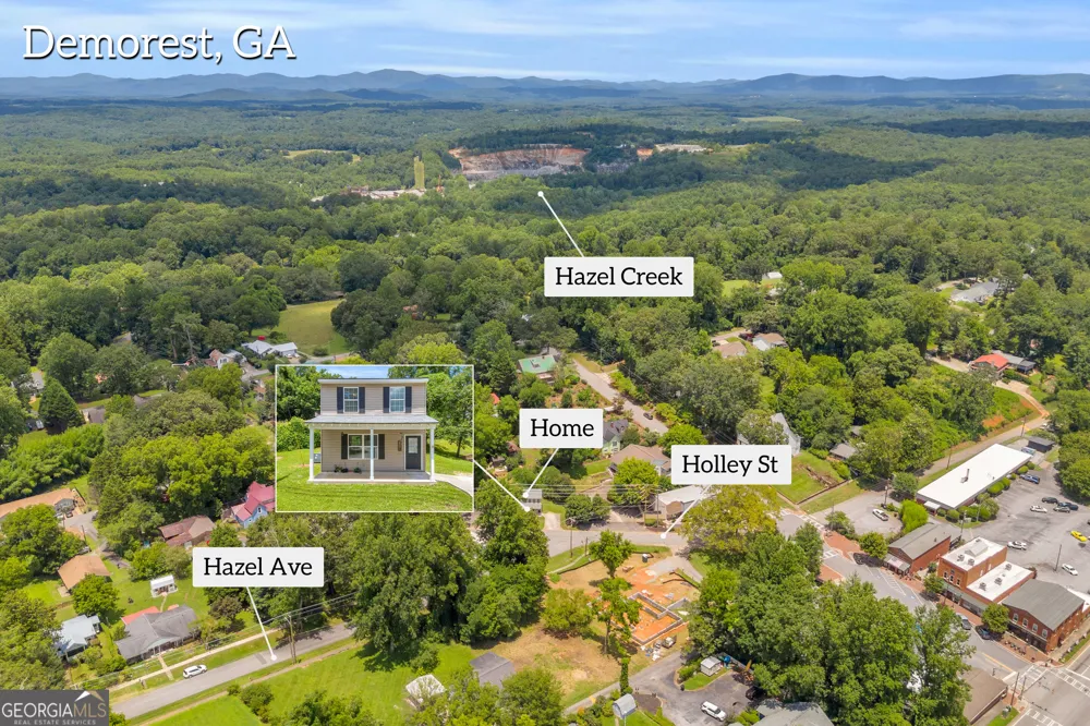 118 Holley ST Demorest, GA 30535