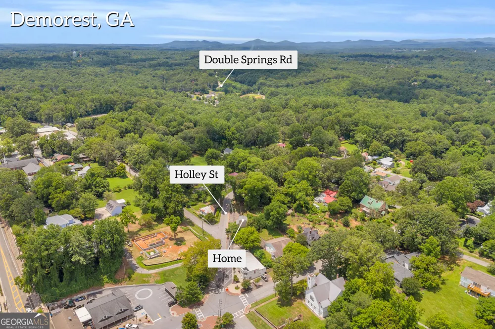 118 Holley ST Demorest, GA 30535