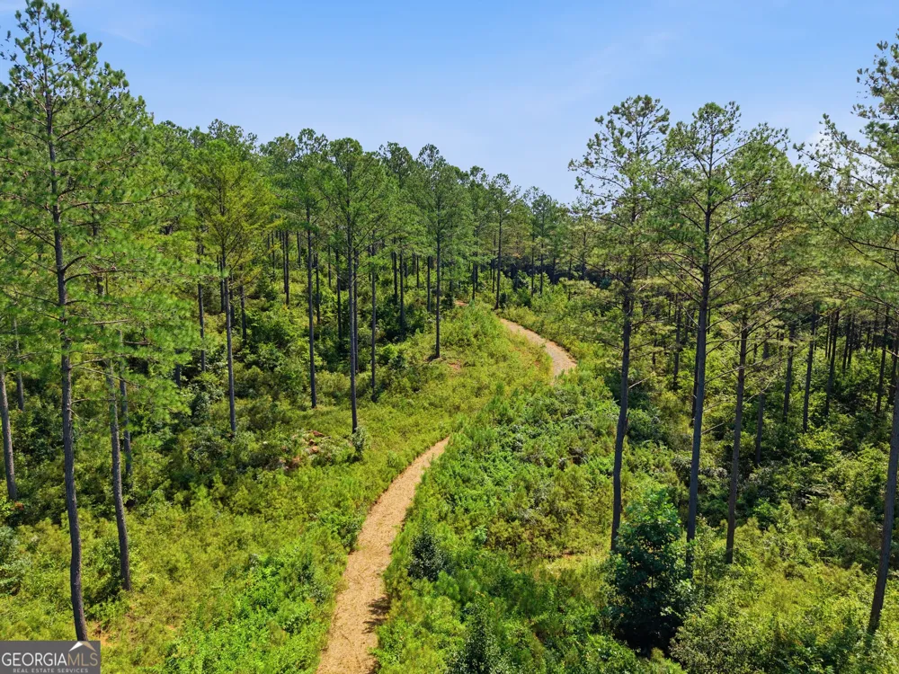 LOT 28 Hillside LN Ellijay, GA 30540