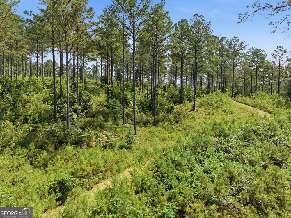 LOT 28 Hillside LN Ellijay, GA 30540