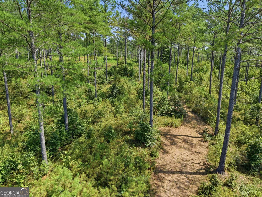 LOT 28 Hillside LN Ellijay, GA 30540