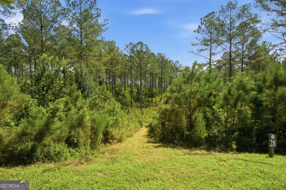 LOT 28 Hillside LN Ellijay, GA 30540
