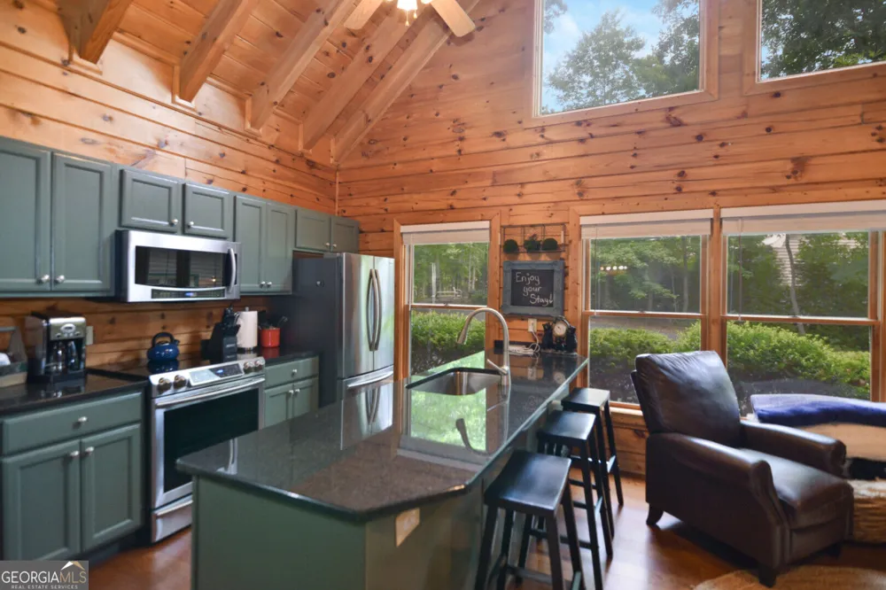 145 Lake Ridge DR Blue Ridge, GA 30513
