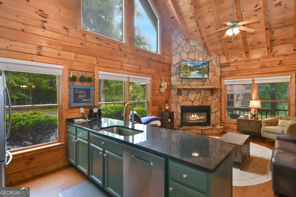 145 Lake Ridge DR Blue Ridge, GA 30513