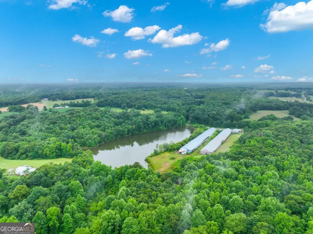 397 Reed Brawner RD Royston, GA 30662