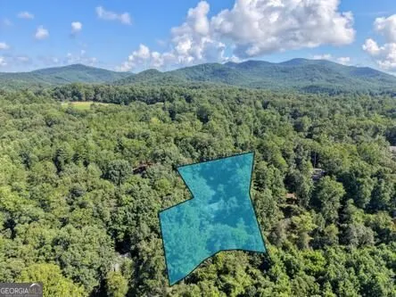 300 Chapman LN Blairsville, GA 30512