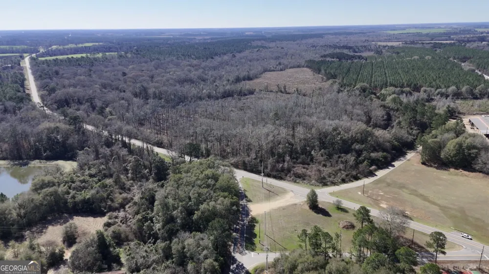 0 Highway 90 Byromville, GA 31007