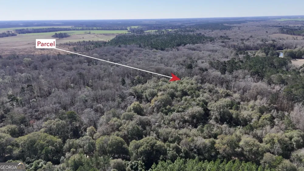0 Highway 90 Byromville, GA 31007