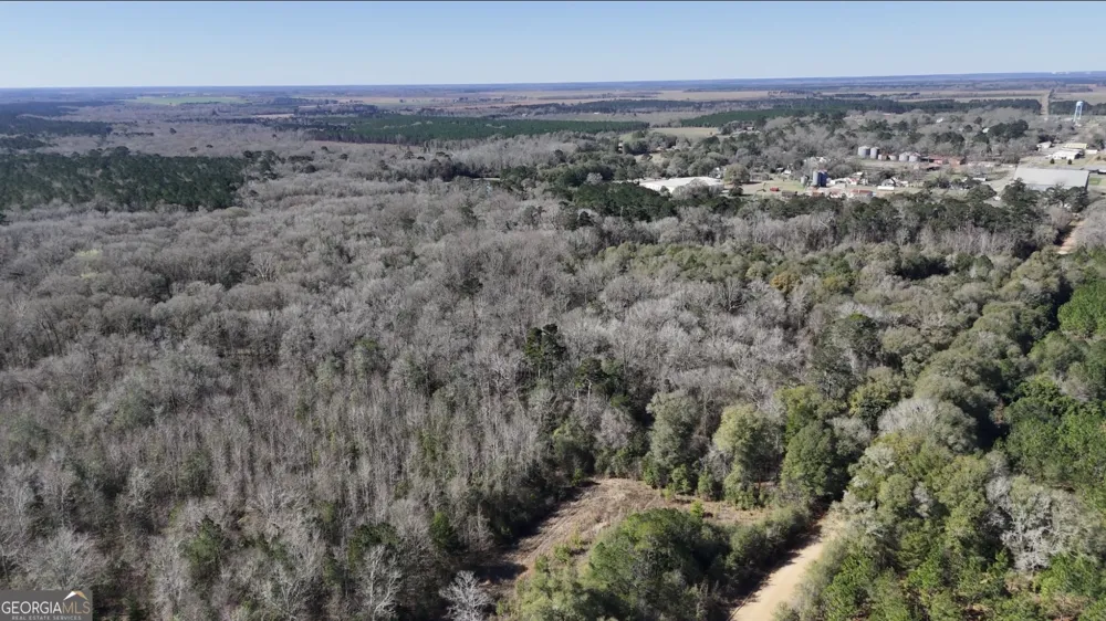 0 Highway 90 Byromville, GA 31007