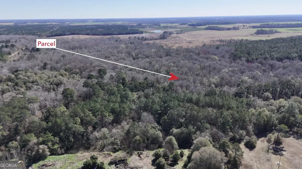 0 Highway 90 Byromville, GA 31007