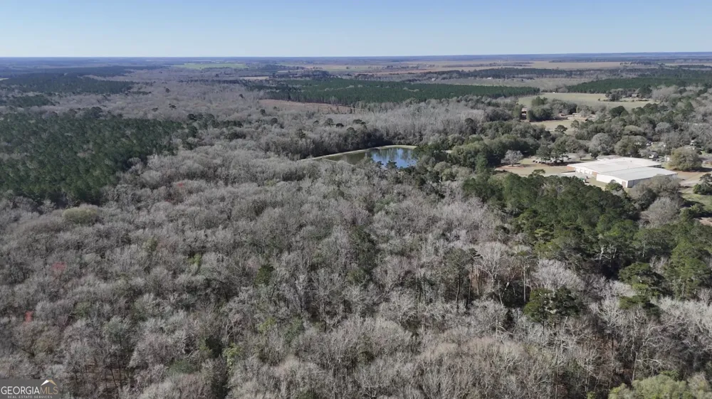 0 Highway 90 Byromville, GA 31007