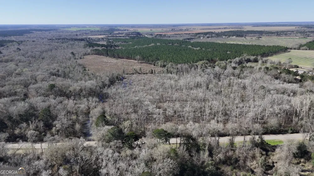 0 Highway 90 Byromville, GA 31007