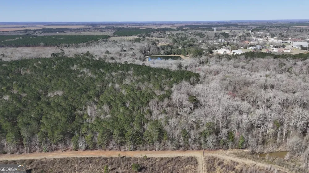 0 Highway 90 Byromville, GA 31007