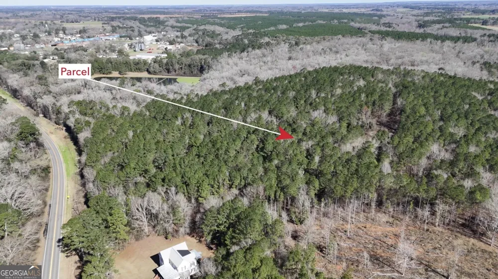 0 Highway 90 Byromville, GA 31007