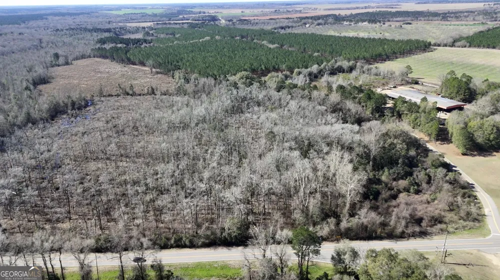 0 Highway 90 Byromville, GA 31007