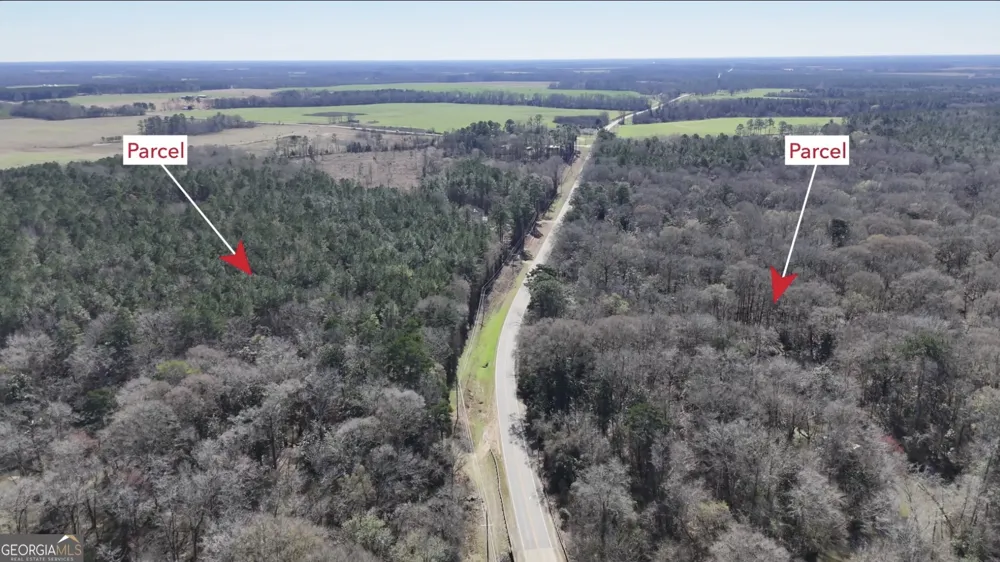 0 Highway 90 Byromville, GA 31007